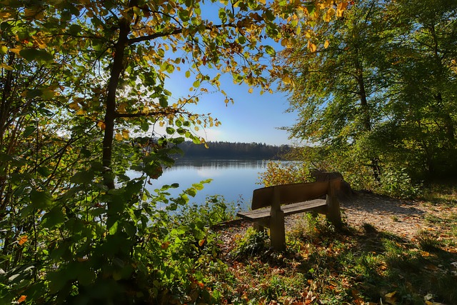 积分榜上的 积分榜上的