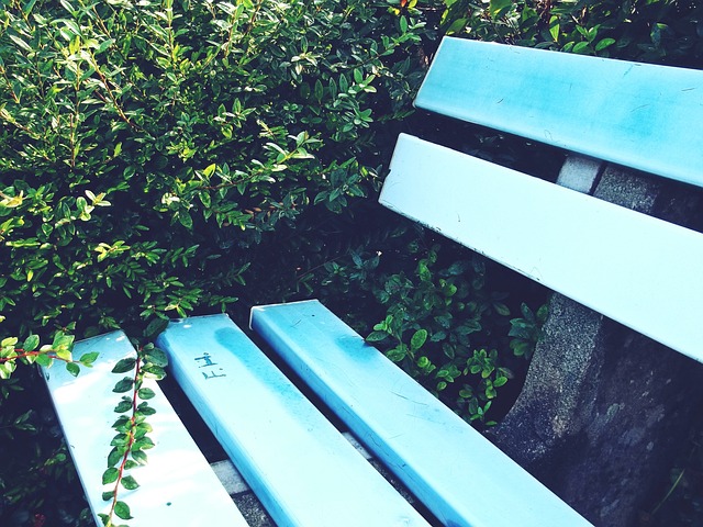 共产党依然 共产党依然