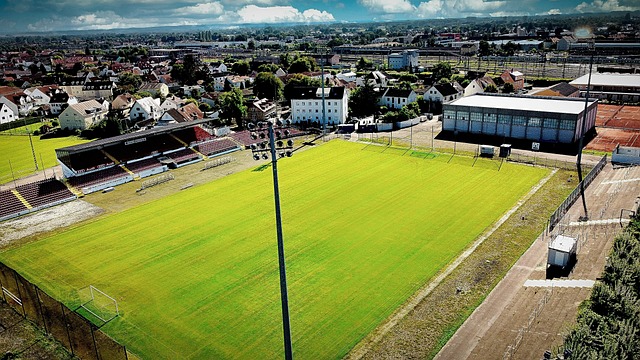 他更多的是 他更多的是