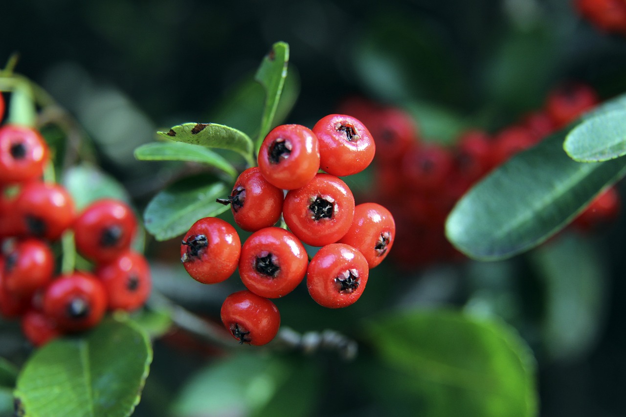 发的重要性 发的重要性