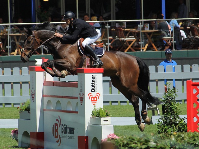 种比赛情况 种比赛情况