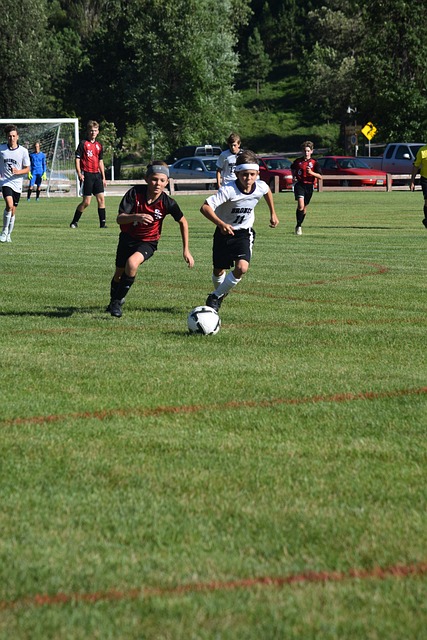 也要确保球 也要确保球