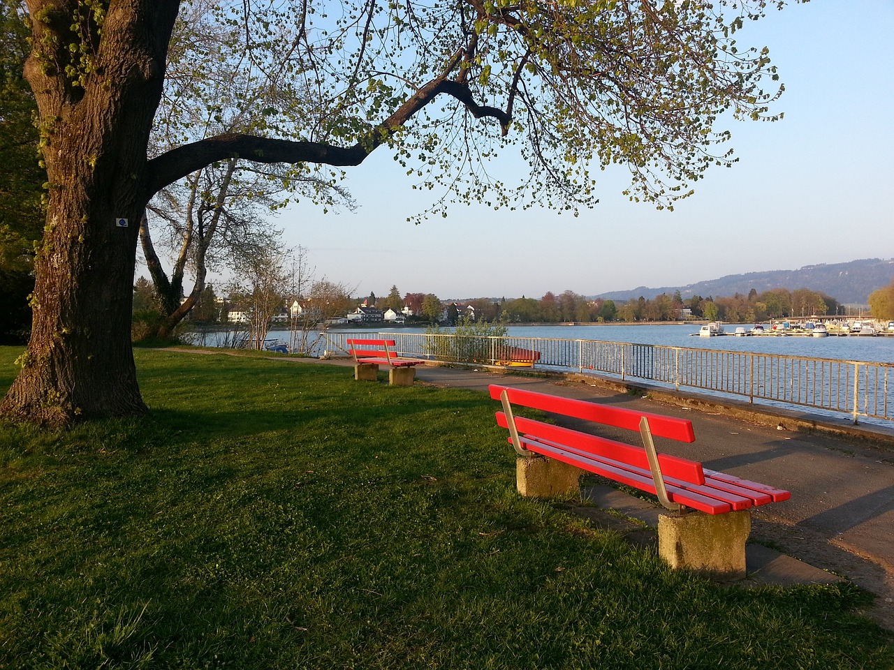 的資深指導 的資深指導