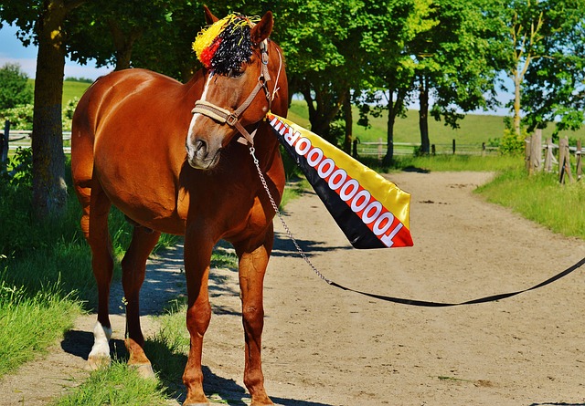 是铁路运输 是铁路运输