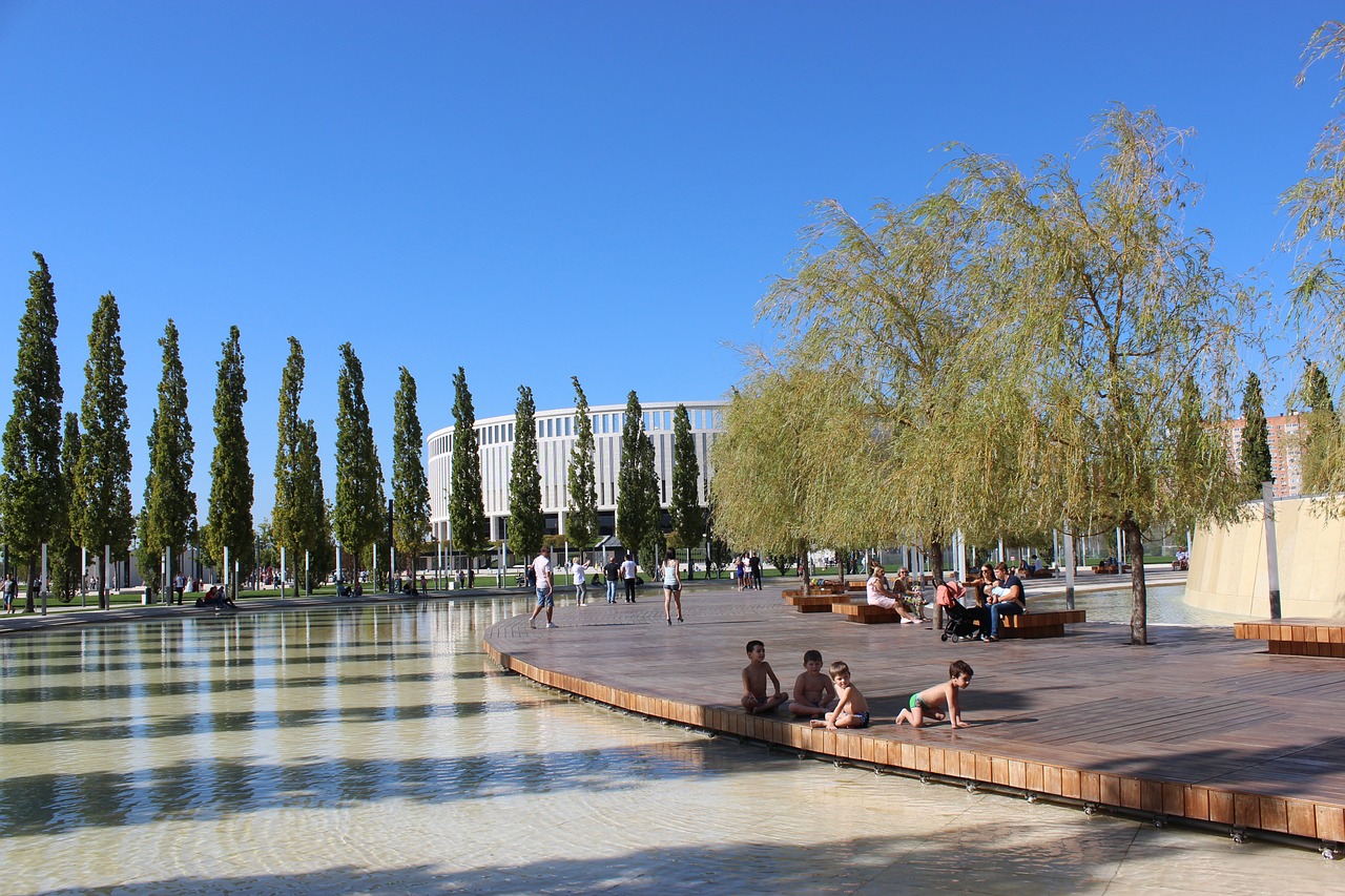 从而增加自 从而增加自