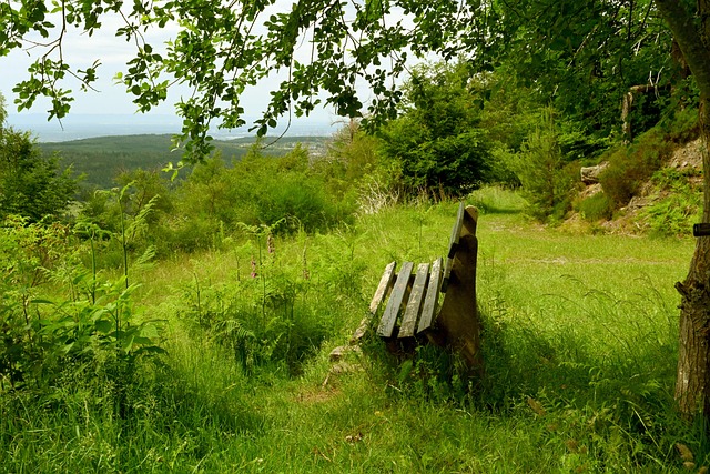 虑他们的优 虑他们的优