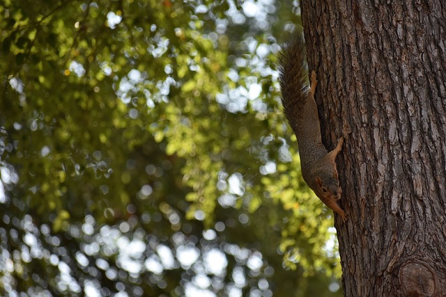 才能终于在 才能终于在